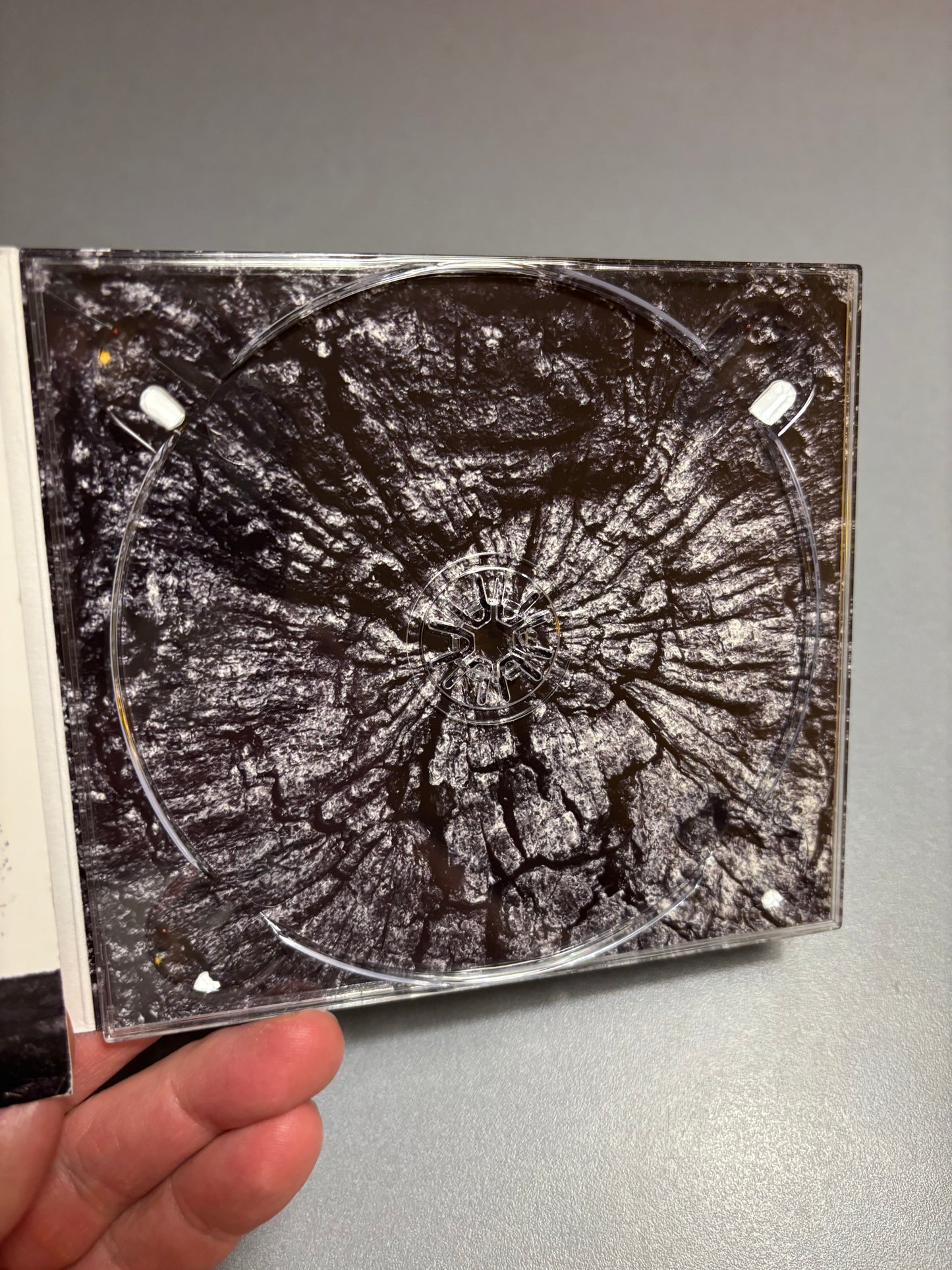 Mr. David Viner: Among The Rumours And The Rye, CD, Only official pressing, Loose, UK 2008