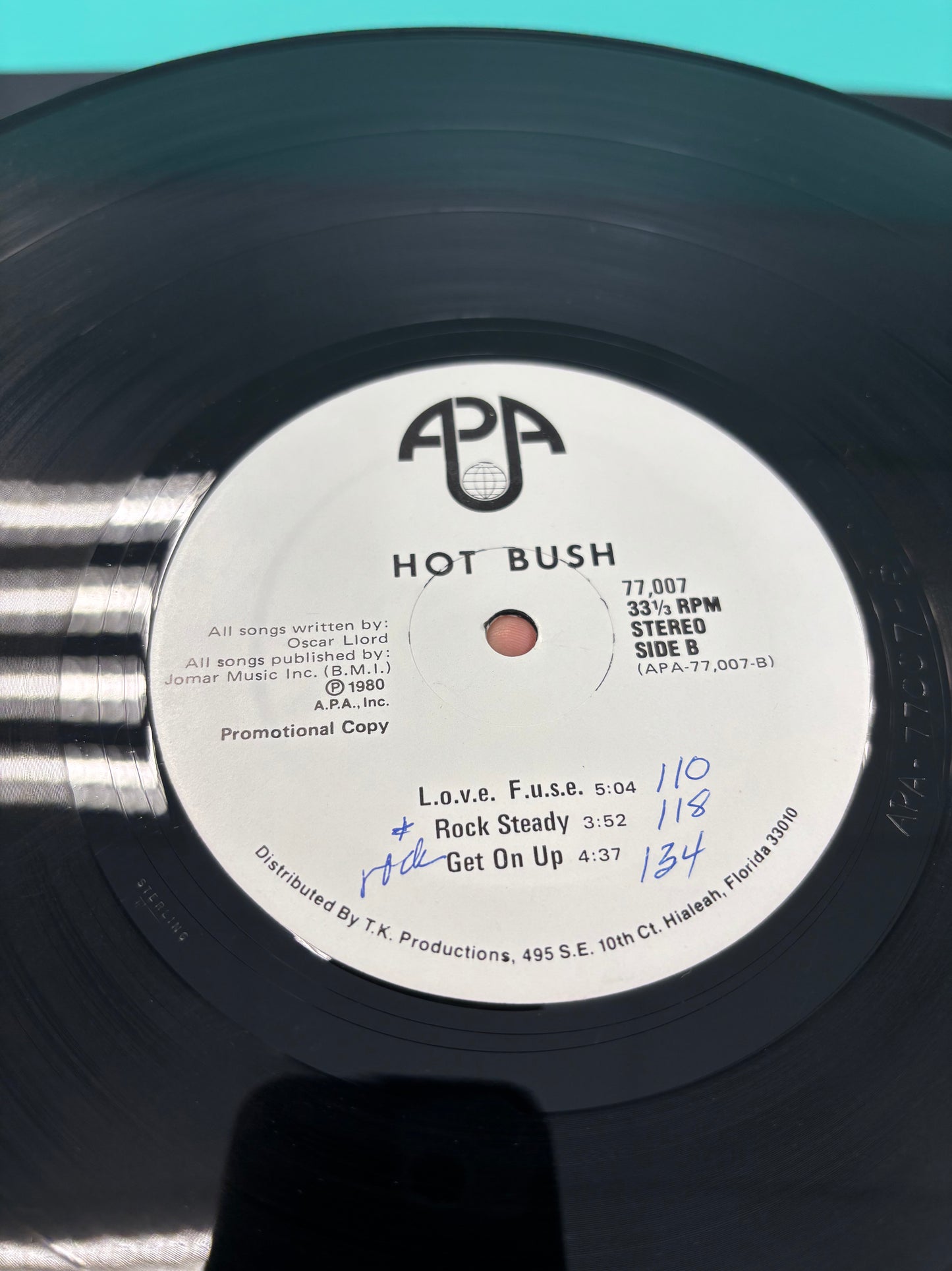 Hot Bush: Hot Bush, LP, Promo, APA, US 1980