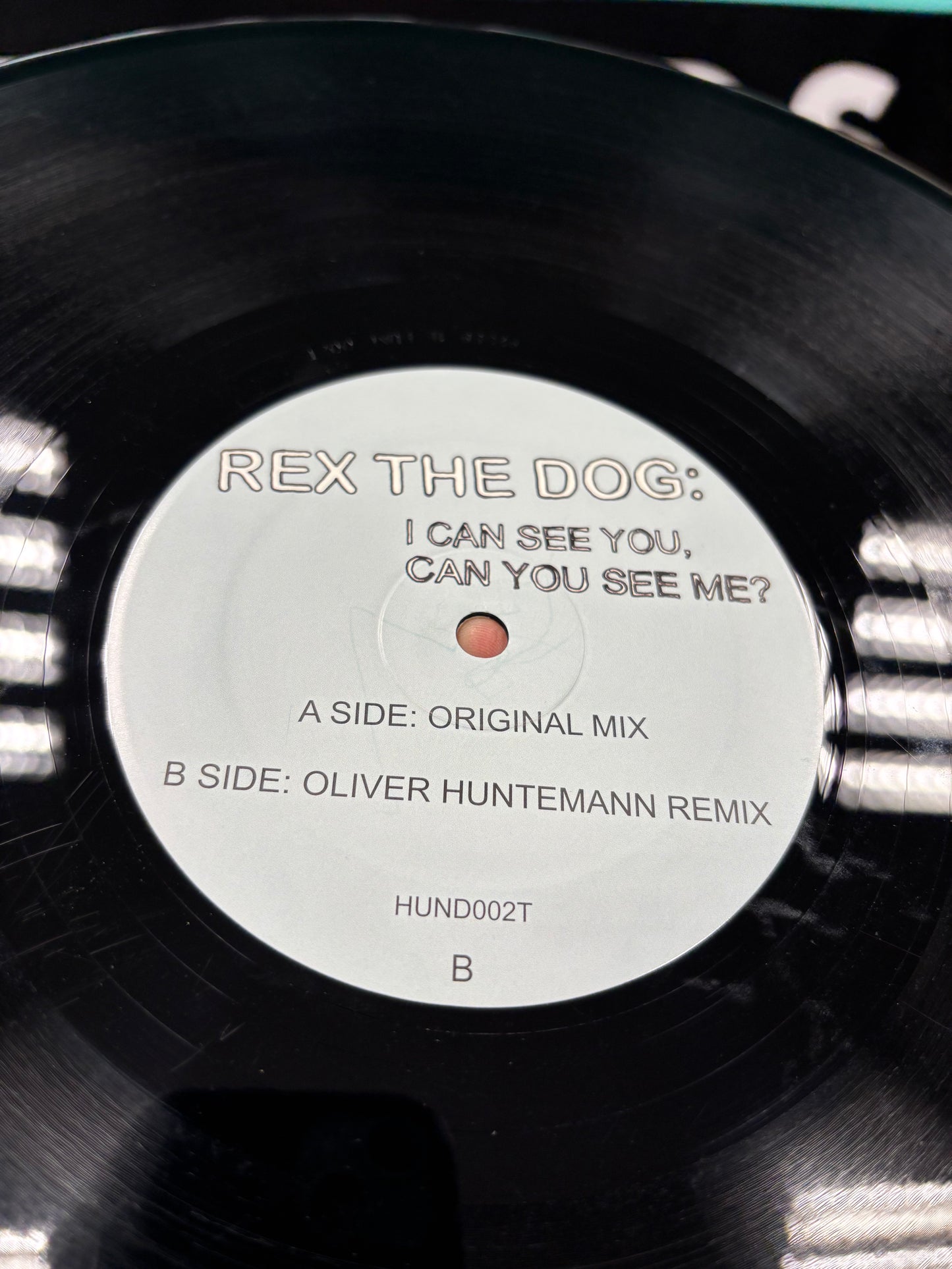 Rex The Dog: I Can See You, Can You See Me?, 12inch, Only official vinyl pressing, Hundehaus Records, UK 2008