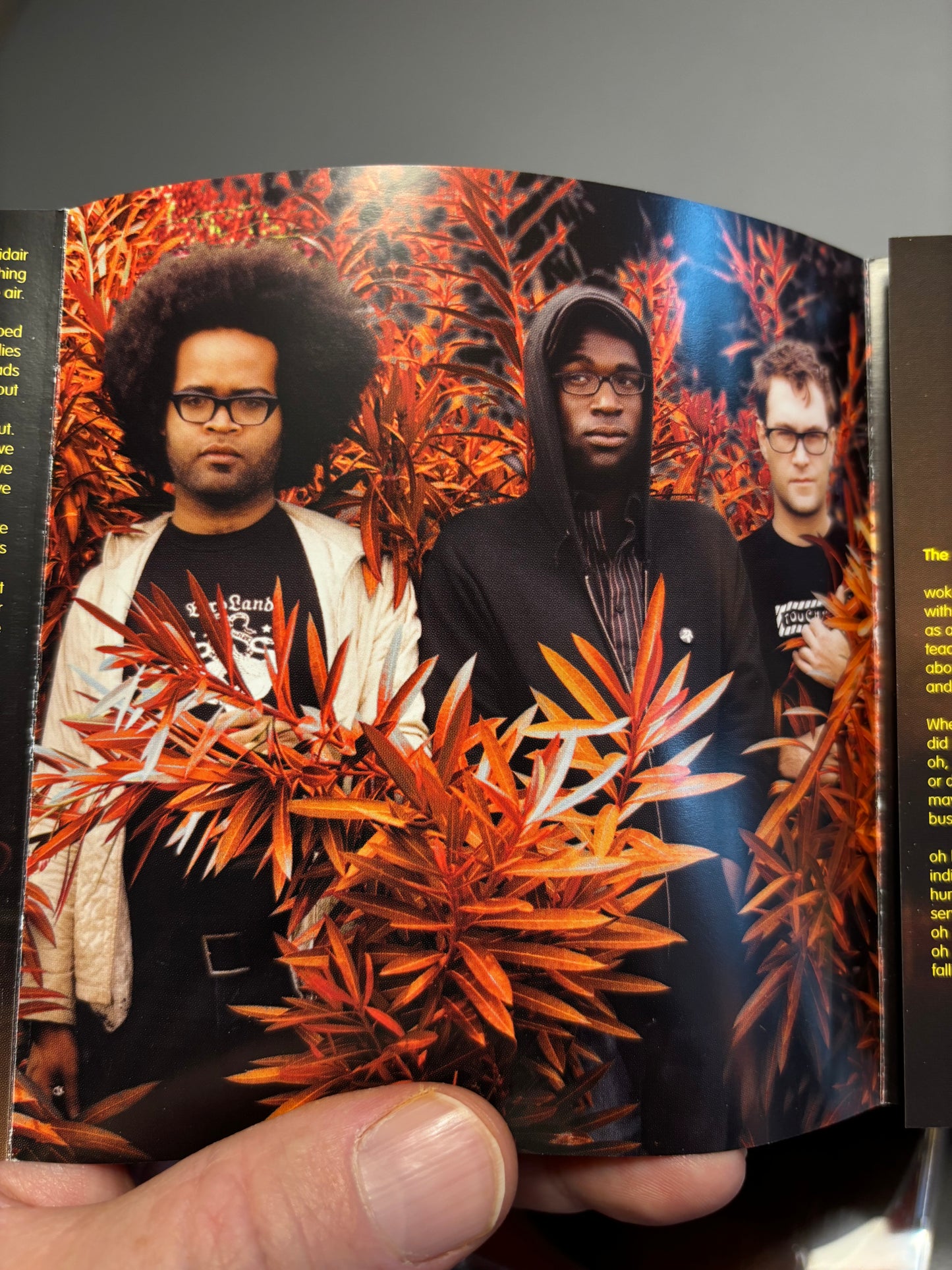 TV On The Radio: Desperate Youth, Blood Thirsty Bands, CD, Enhanced, 4AD, Europe 2004