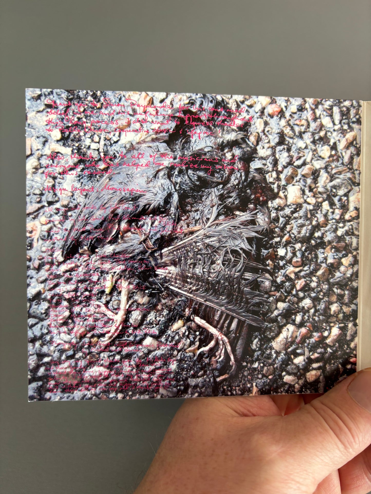 John Grant: Queen Of Denmark, CD, Digipak, Bella Union, Europe 2010