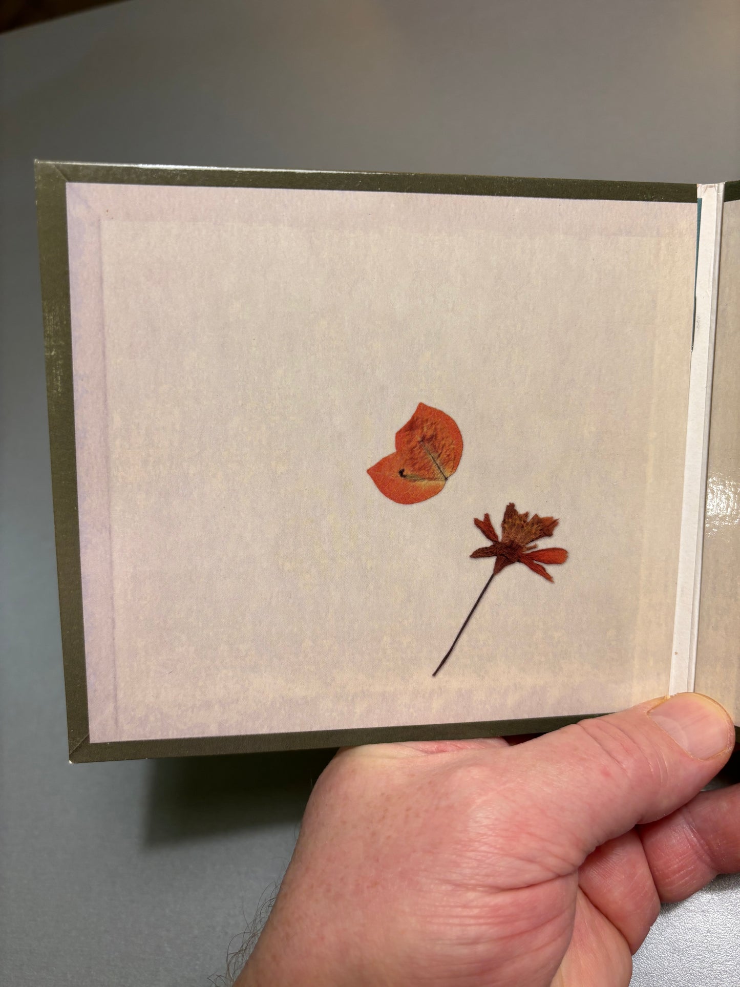 Mummypowder: Centuries Later, CD, Only pressing, Grandpop Records, Finland 2011