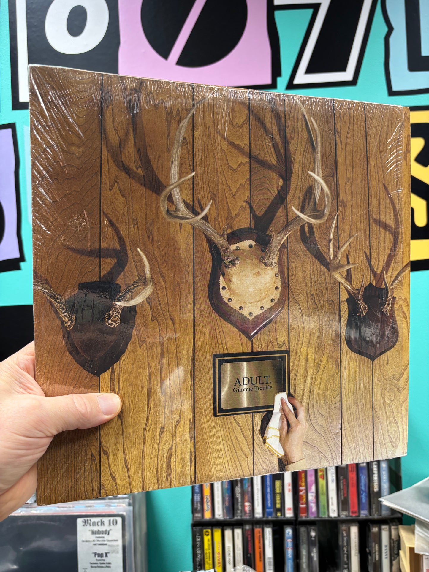 ADULT. : Gimmie Trouble, LP, Only vinyl pressing, Thrill Jockey, US 2005