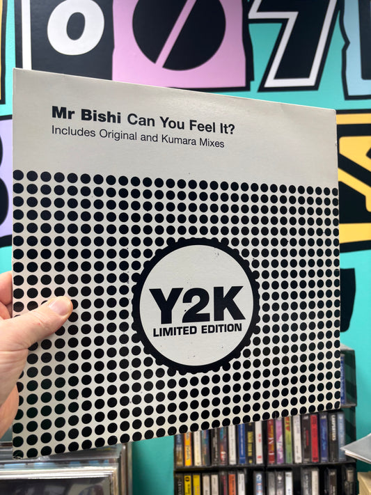 Mr Bishi: Can You Feel It?, 12inch, Only pressing, Y2K Limited, UK 2000