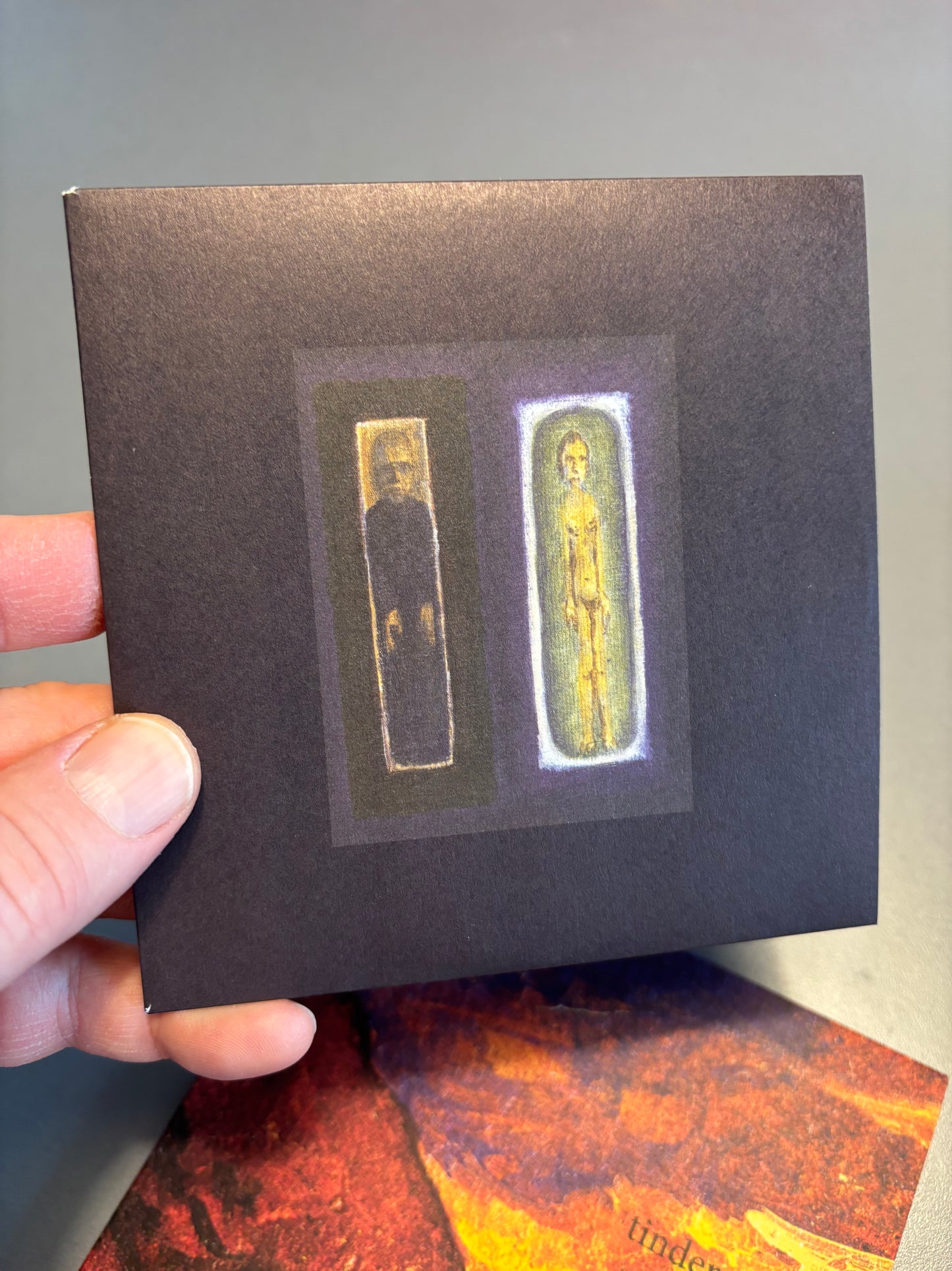 Tindersticks: Falling Down A Mountain, CD, 4AD, Europe 2010