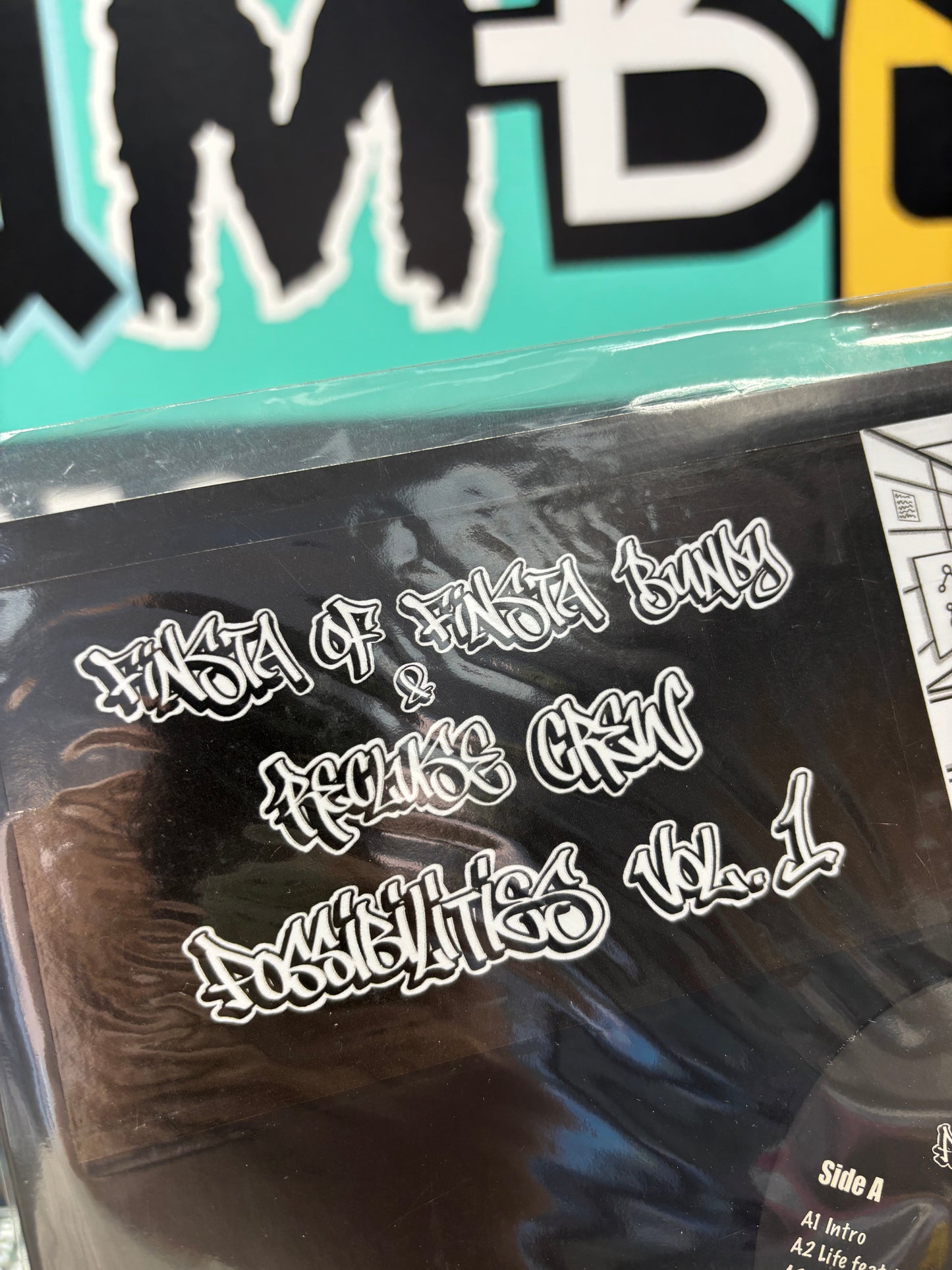 Finsta Of Finsta Bundy & Recluse Crew: Possibilities Vol. 1, LP, Mood Monarch, Finland 2025