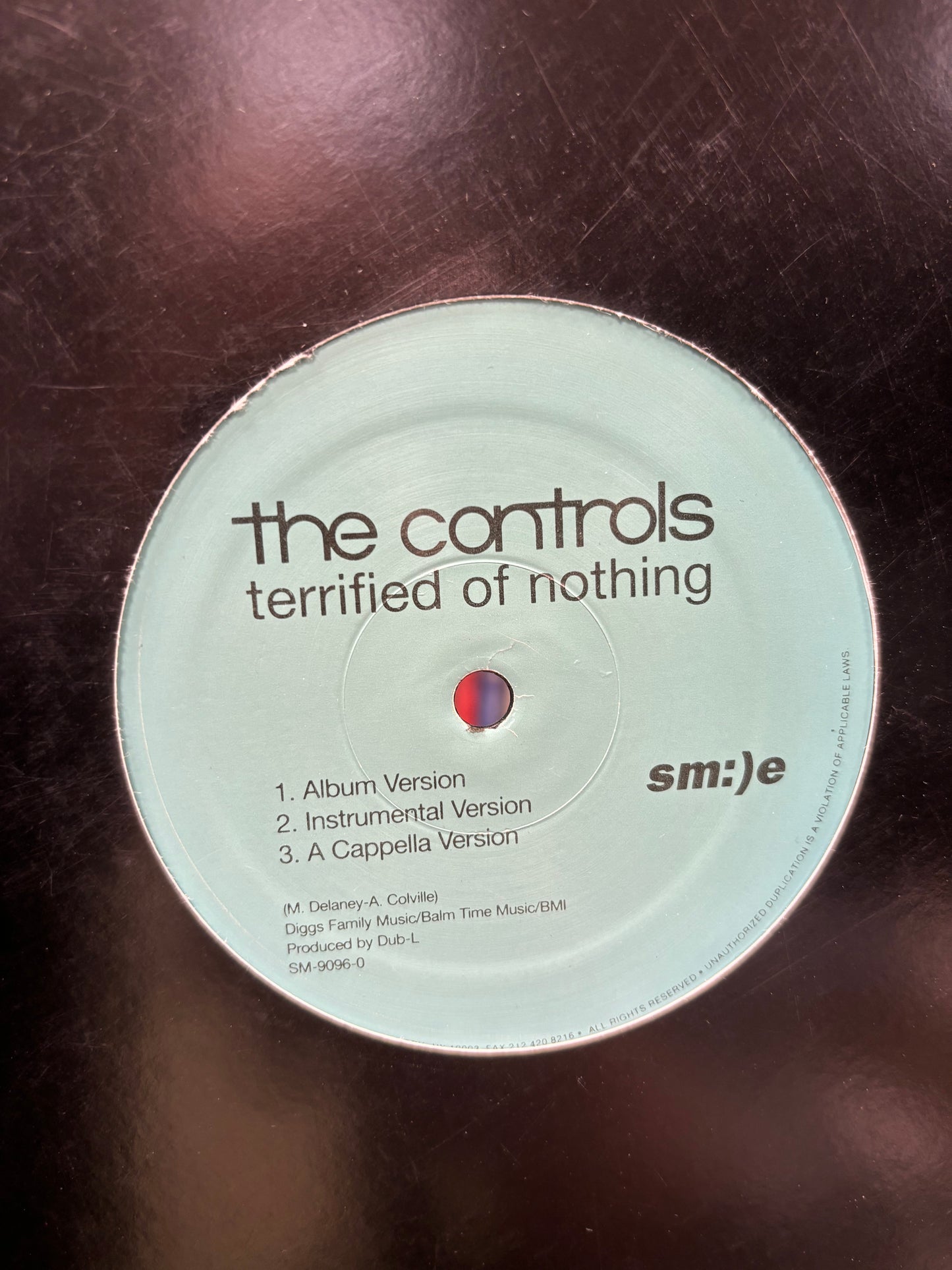 The Controls: Terrified Of Nothing, 12inch, Only official pressing, Sm:)e Communications, US 1999