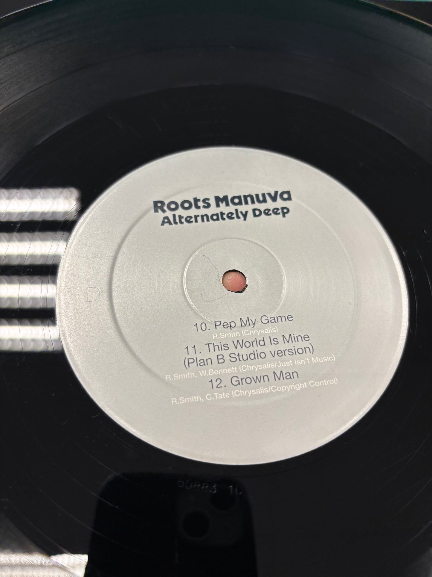 Roots Manuva: Alternately Deep, 2LP, Only vinyl pressing, Big Dada Recordings, UK 2006