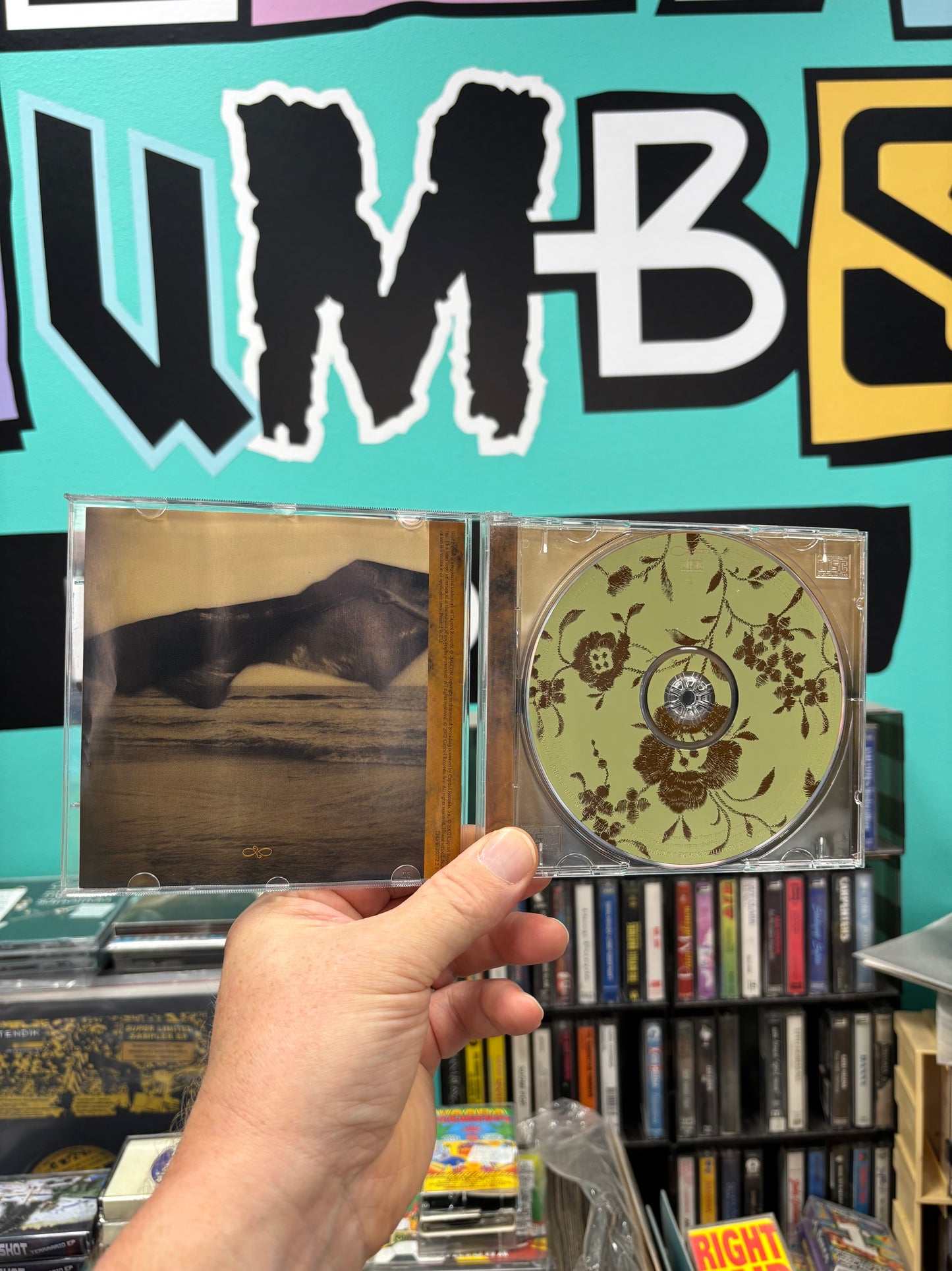 Cassandra Wilson: Belly Of The Sun, CD, Blue Note, Europe 2002