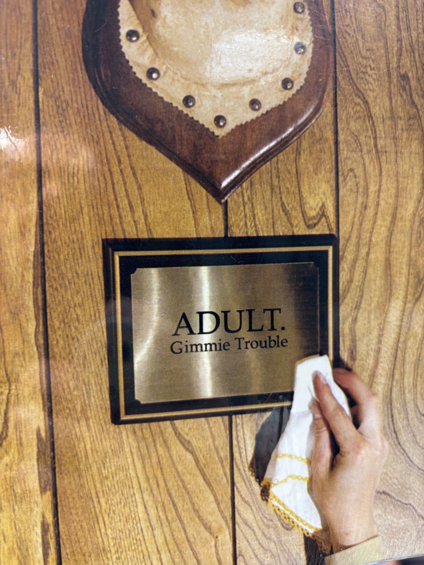 ADULT. : Gimmie Trouble, LP, Only vinyl pressing, Thrill Jockey, US 2005