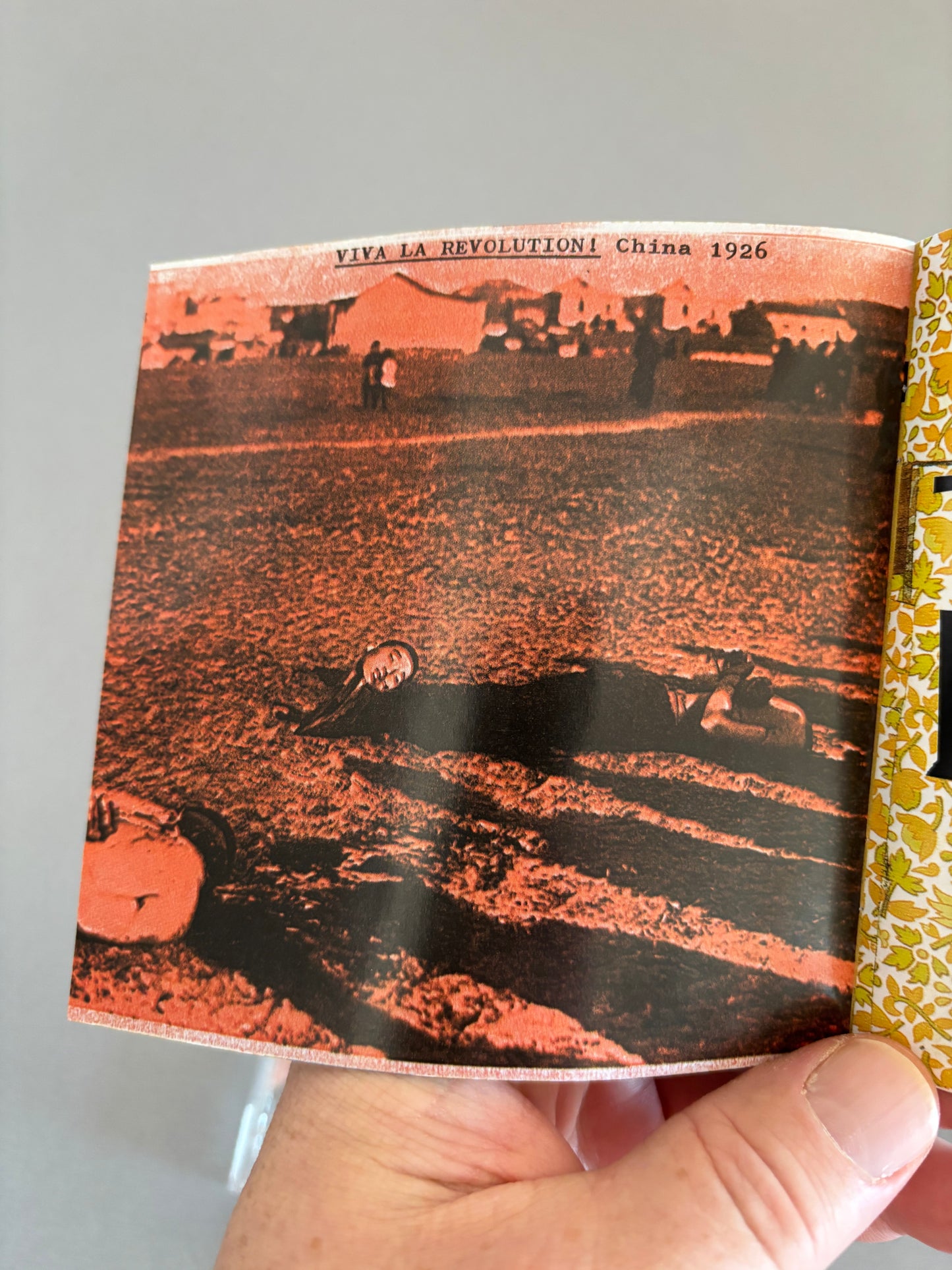 Die Toten Hosen: Opium Fürs Volk, CD, Jochens Kleine Plattenfirma, Germany 1996