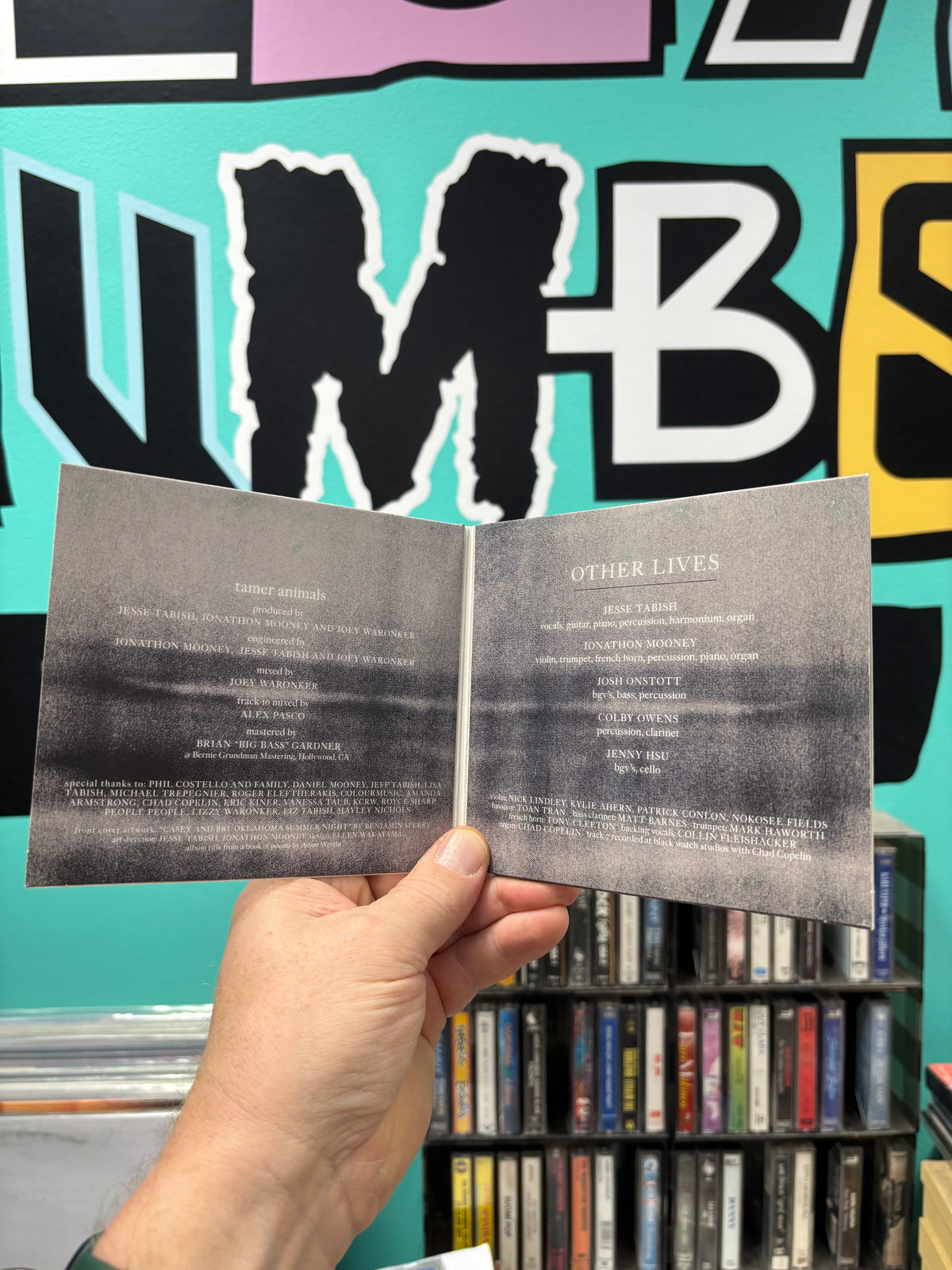 Other Lives: Tamer Animals, CD, Tbd Records, Play It Again Sam, Europe 2011