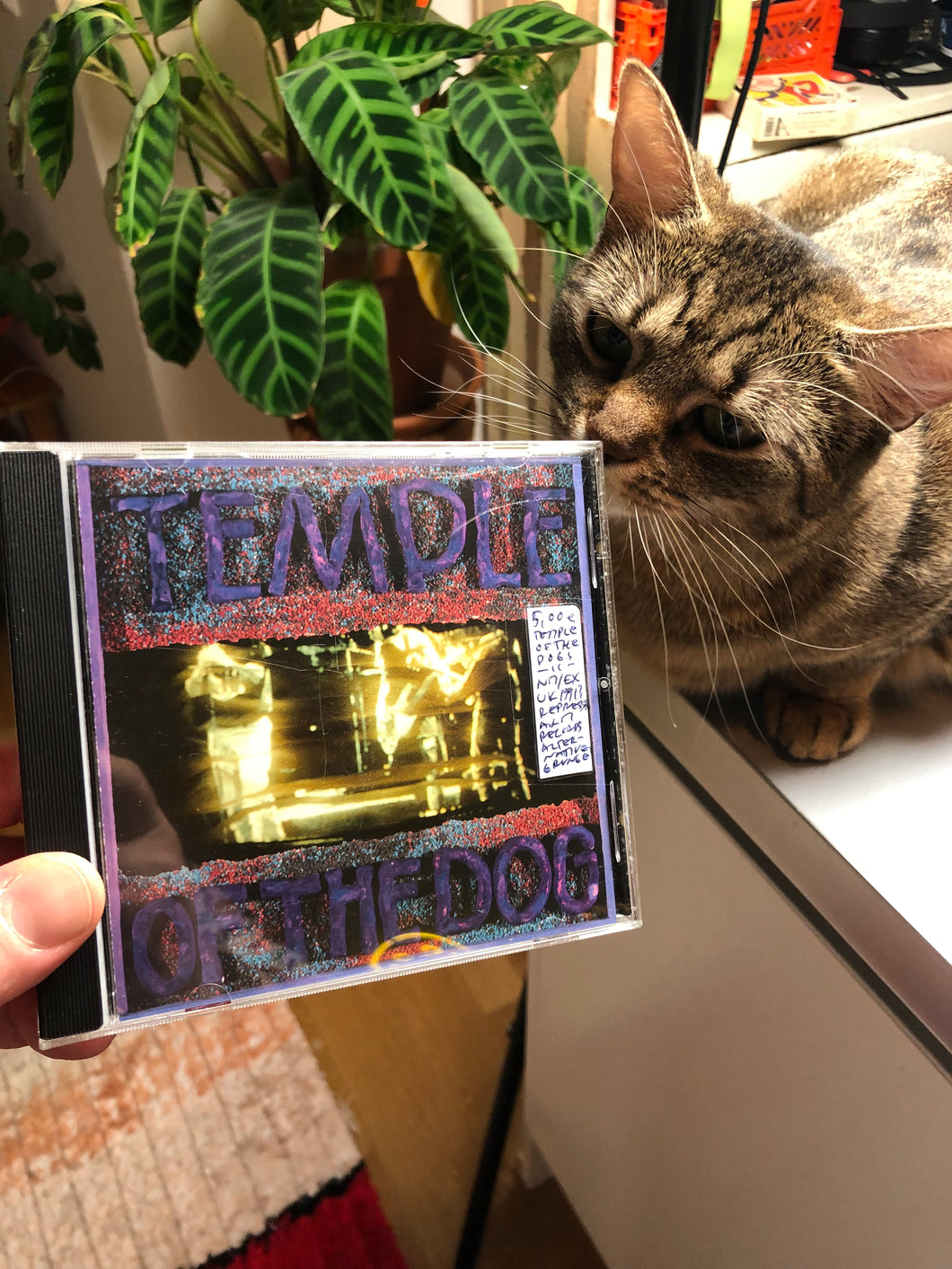 Temple Of The Dog, reissue, UK 1991