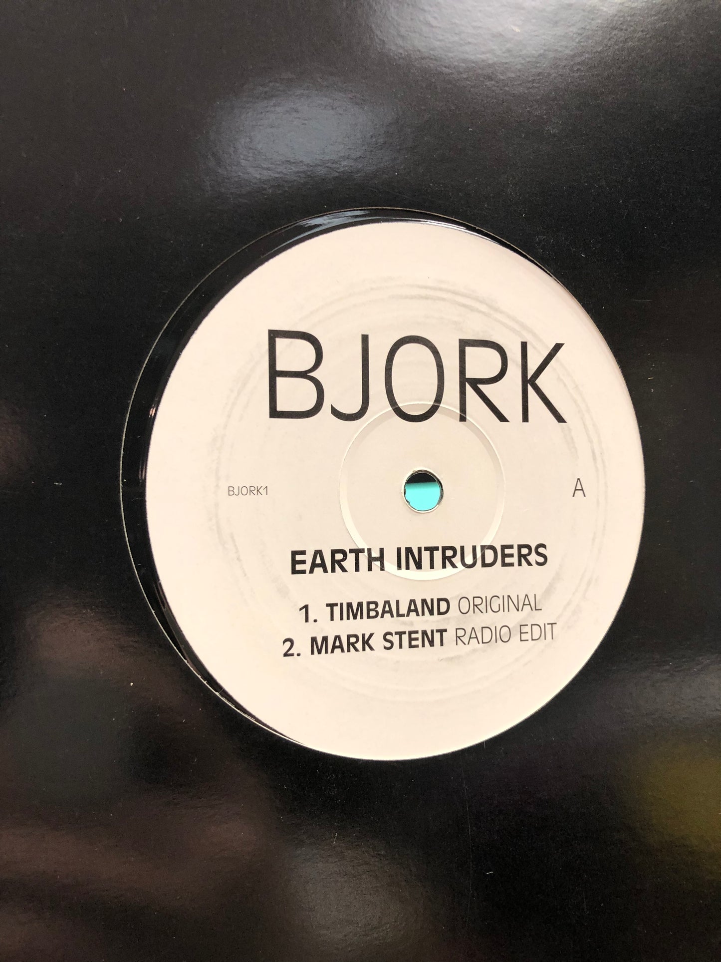 Björk: Earth Intruders, white label, 2007