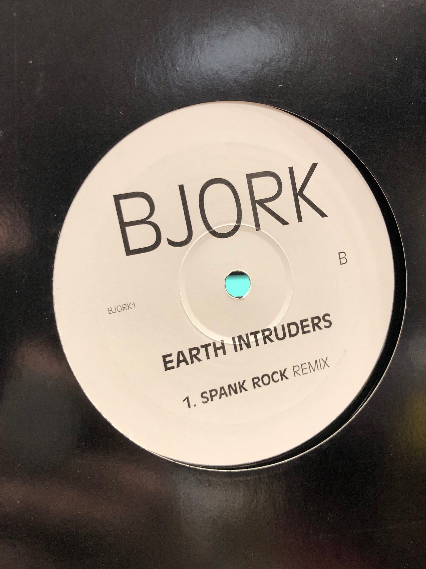 Björk: Earth Intruders, white label, 2007