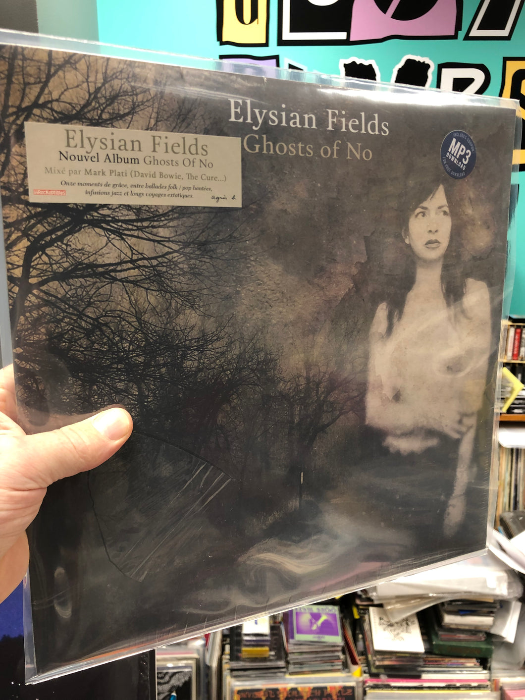Elysian Fields: Ghosts Of No LP